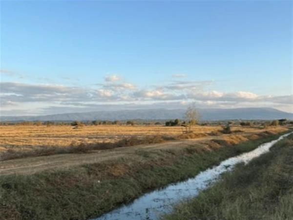 780 ha Commercial Farm