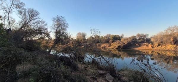 591 ha Farm