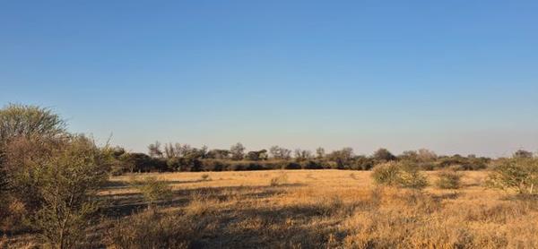 591 ha Farm