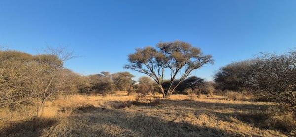 591 ha Farm
