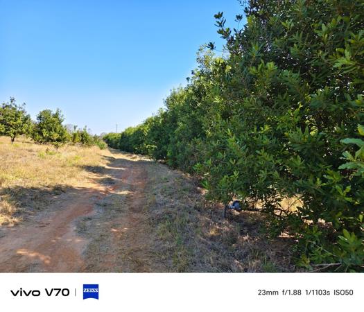100 ha Farm