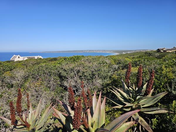 2 779 m² Land