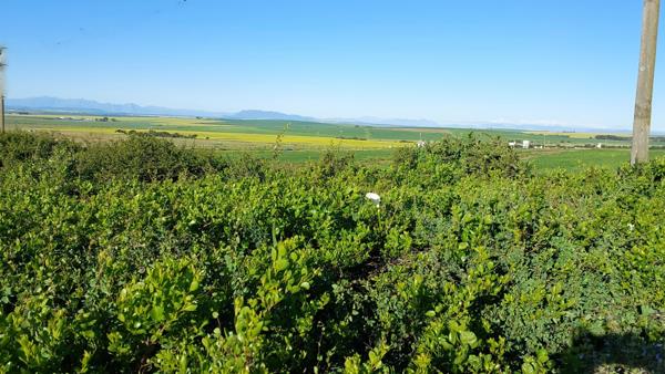 394 m² Land
