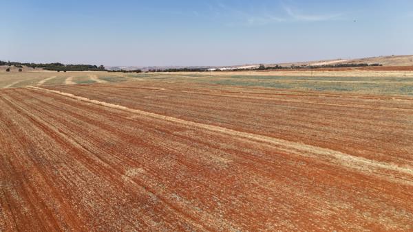483 ha Agricultural Holding