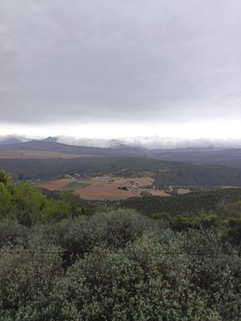 202 ha Farm