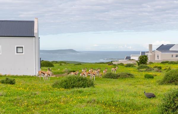 651 m² Land