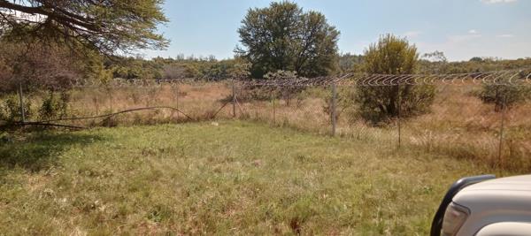 6 ha Smallholding