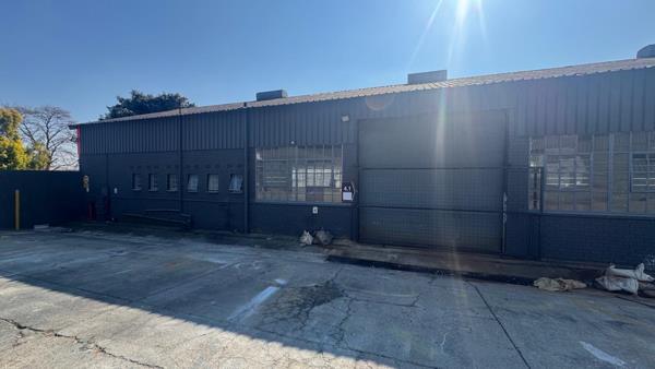266 m² Industrial space
