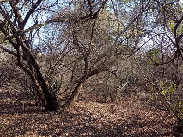 2 000 m² Land
