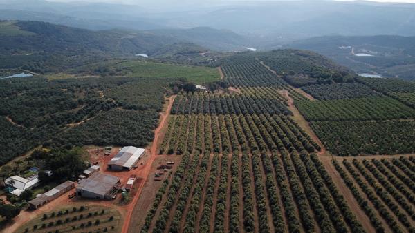 80.2 ha Farm
