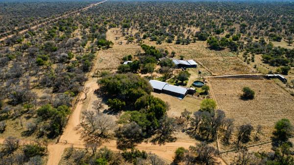 14.5 ha Smallholding
