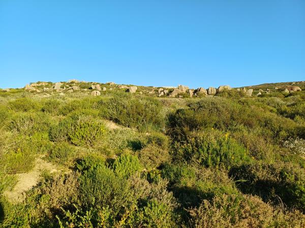 352 m² Land