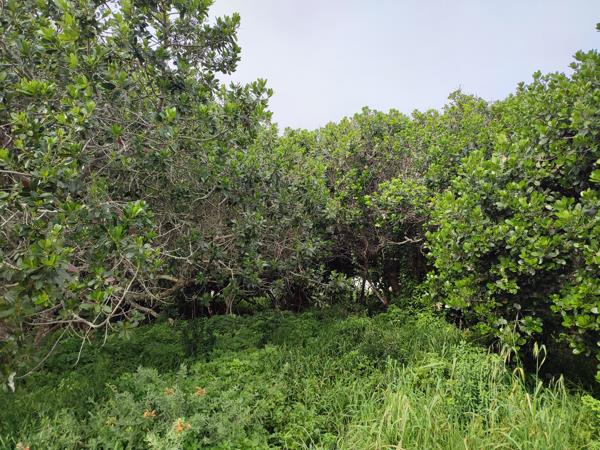 849 m² Land