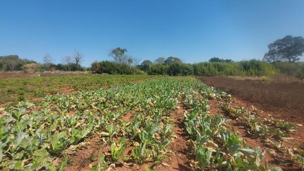 2.4 ha Land