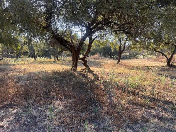 428 m² Land