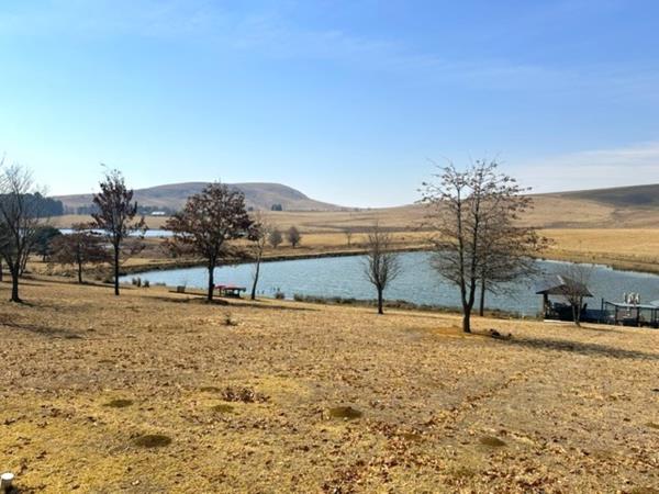 27.4 ha Smallholding
