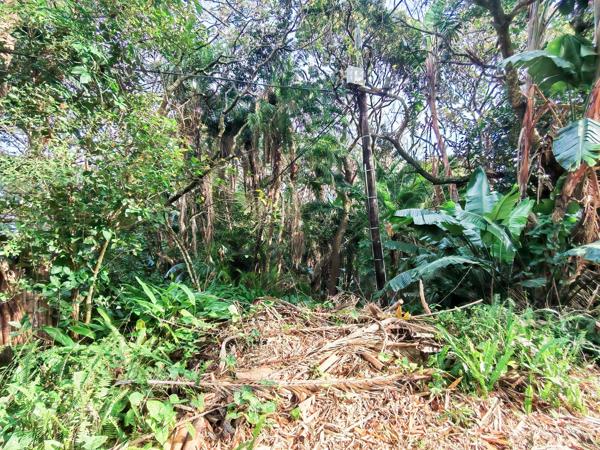 2 566 m² Land