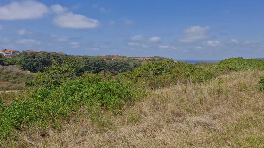 2 101 m² Land
