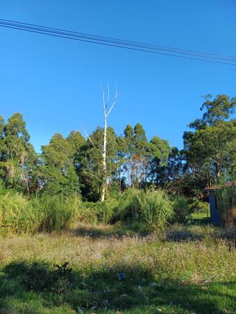 1 128 m² Land