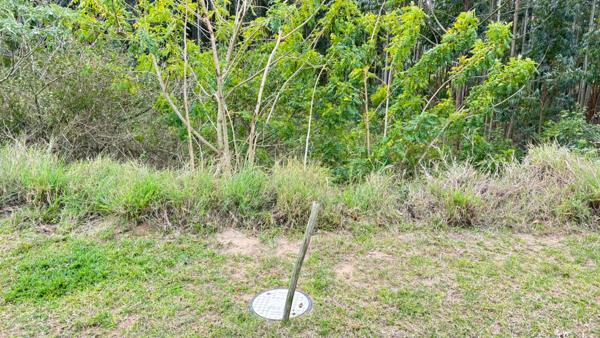 1 003 m² Land