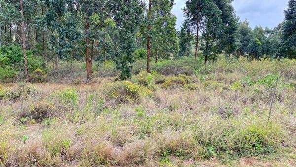 1 085 m² Land