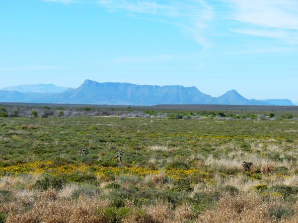 113.5 ha Farm