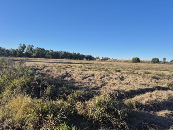 2.1 ha Smallholding