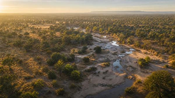 3 000 ha Land
