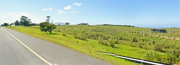 1.6 ha Farm