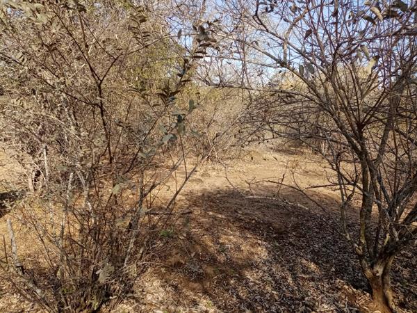 1 600 m² Land
