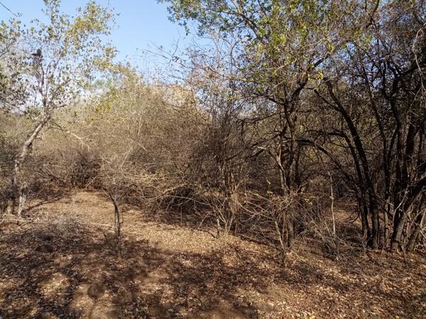 2 000 m² Land