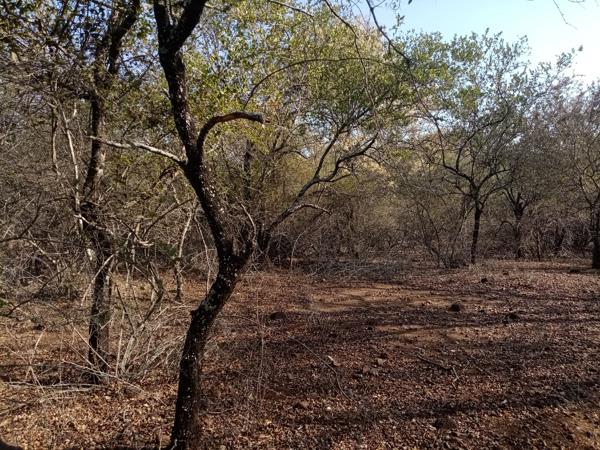 2 200 m² Land