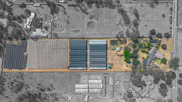 4.5 ha Smallholding