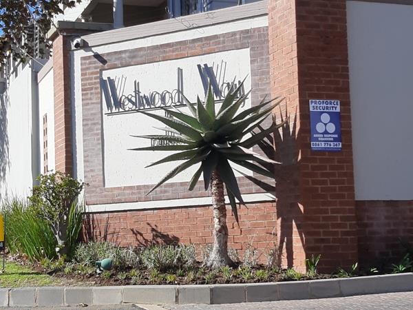1 Bedroom Townhouse