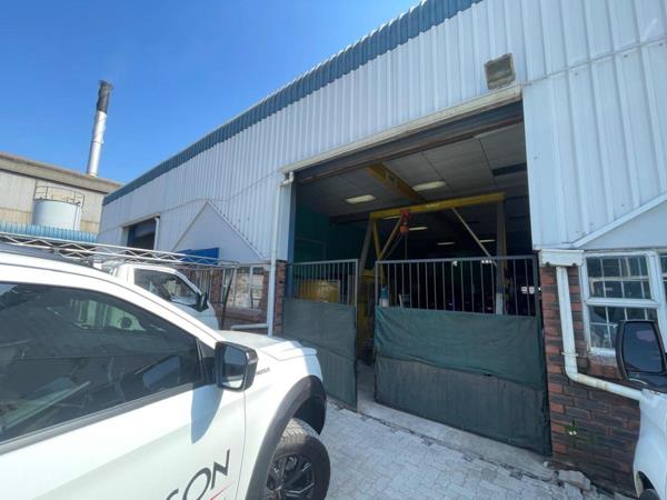 255 m² Commercial space