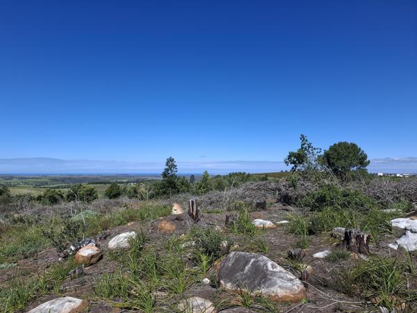 1.8 ha Land