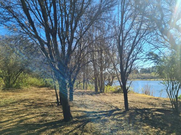 20 ha Land