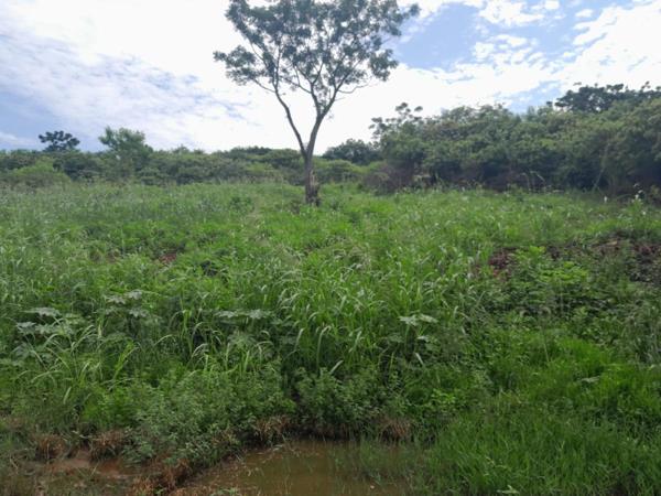 343 m² Land