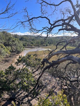 571 m² Land