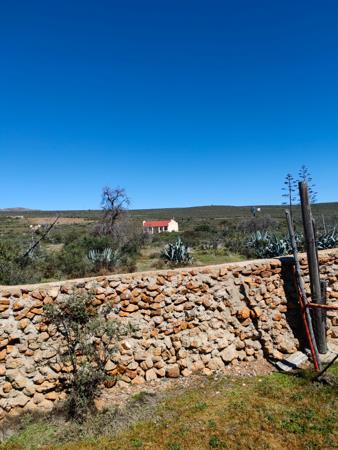 565 ha Farm