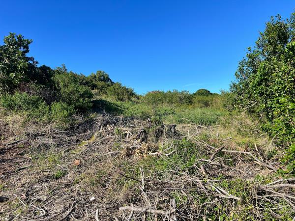 694 m² Land