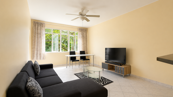 1 Bedroom Apartment