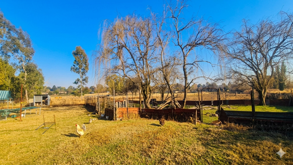 1.5 ha Smallholding