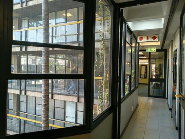 177 m² Office Space