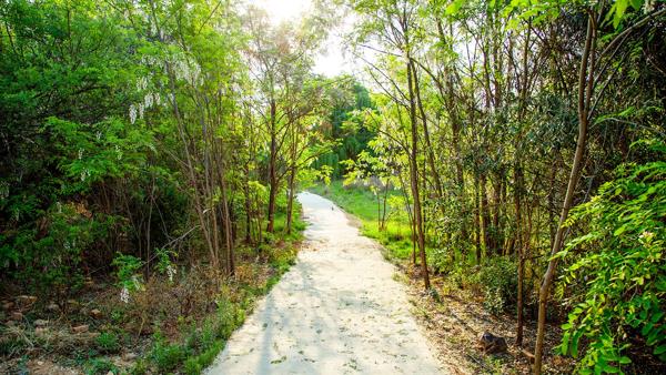 800 m² Land