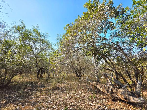 1 595 m² Land