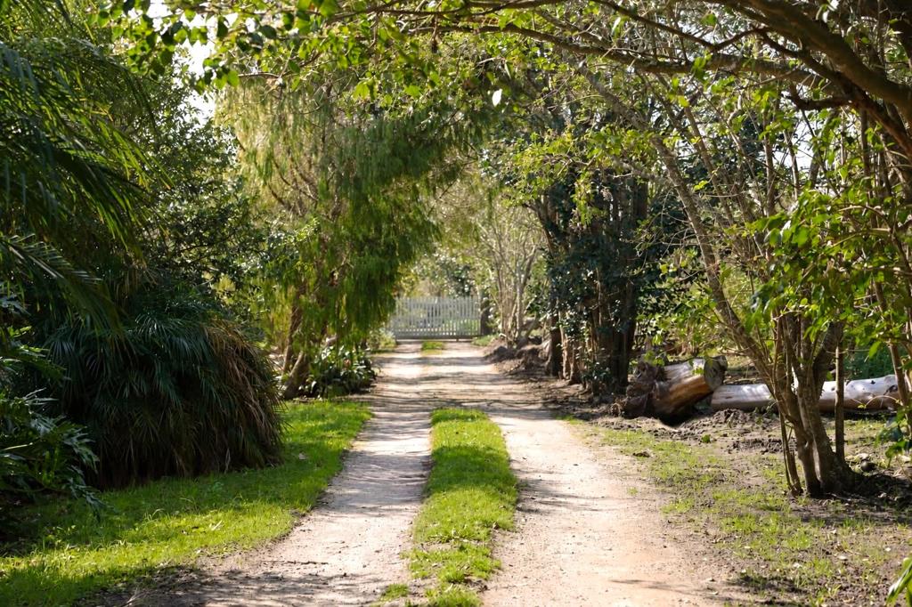 5 006 m² Land