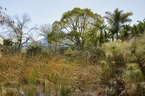 5 006 m² Land