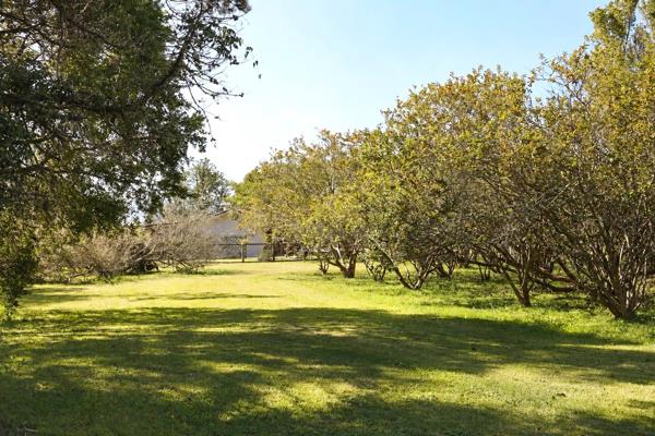 5 006 m² Land
