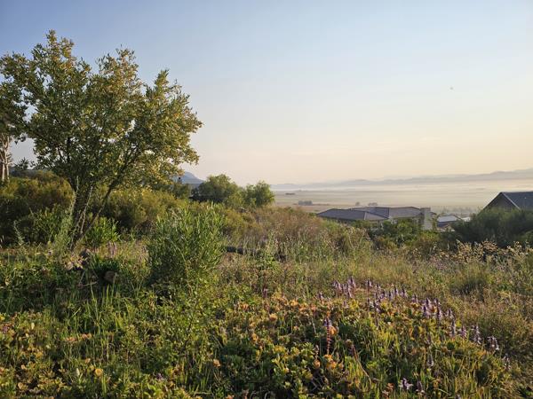 700 m² Land